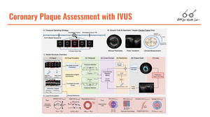 Coronary Plaque Assessment with IVUS